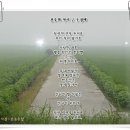 견우와 직녀 Daum카페