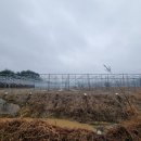 치서농장 이미지