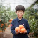 규리농장 이미지