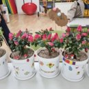 목천초등학교 병설유치원 이미지