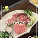 [목동역 맛집] 현지인 찐추천! 입에서 살살 녹는 유진참치 스페셜 코스 후기 (주차/단체룸)