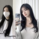 미헤어 이미지