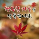 행복한가을 Daum카페
