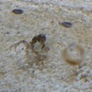 꿀벌체험장 | 구리 생물도감 521농업생태체험장 / 21개월 아기와 관람후기. 20251202