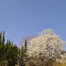 한덕농장 이미지