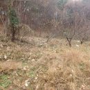 도인농장 이미지