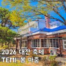 별마중 | 대전 축제일정 테미오래 축제 'TEMI, 봄 마중' 일정 총정리