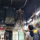 일번지세탁소 이미지