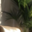 반포대로26길 4 이미지