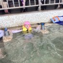 다사랑유치원 이미지