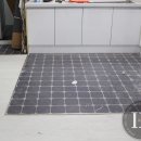 황골쌍용 이미지