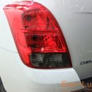Evo-Luster 이미지