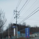 고산흑염소 이미지