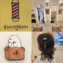 경산히피펌 성지 하이연헤어, 펜타힐즈 미용실 펌 가격