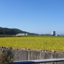 250401 호재모음 &#34;급 반등장 지수보다 2배 더 오르는 종목&#34;