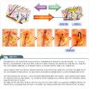 [청주탈모][청주두피]남성탈모의 원인[청주탈모,청주두피관리,청주남성탈모,청주여성탈모,청주지루성두피,청주원형탈모,청주에서탈모관리잘하는곳] 이미지