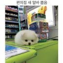 우리편의점 이미지