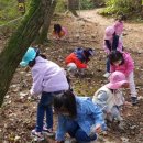 퇴계연꽃어린이집 이미지