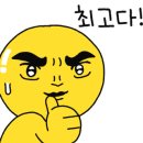 시현펫살롱 이미지