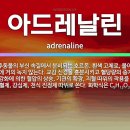 아드레날린 이미지