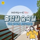 장성호 출렁다리(넘실정) 이미지