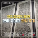 [서울] 국립중앙박물관 1탄 선사·고대관 초등 역사 공부