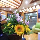 한길송정 이미지