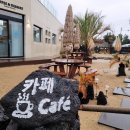 바당쿰다 이미지