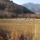 의식동 이미지