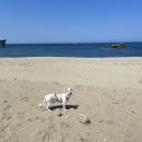 나곡해수욕장 이미지