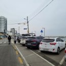 해바라기6047 이미지
