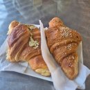 남부 | [이탈리아 로마] DAY2 남부 투어 후기 폼페이, 아말피 해변, 포지타노