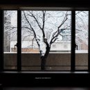 [혼자가기 좋은 망원동 카페] 로트 (ROTE), 힐스오브북스