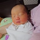 미래로병원 제왕절개 출산후기] 2.59kg 말랑이 탄생! 5박 6일 입원기록과 밥 먹다 달려간 수유콜