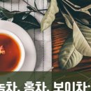 다도하우스