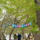 봄바람에 흔들리던 가랜드 — 연둔리숲정이 봄꽃축제 방수 패브릭 가랜드 제작 후기