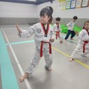 광양예절태권도장 이미지