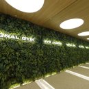 시그널 크로스핏 이미지