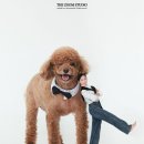 나의 단짝 반려동물 이미지