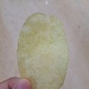 와사비 | [상품리뷰] 농심 크레오파트라 솔트앤와사비 &amp; 와사비새우깡 후기