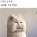진심을 전하는 방법