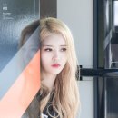 더벙커 이미지