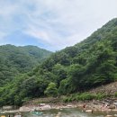 정자나무농원 이미지