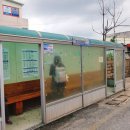 야성초등학교 앞 이미지