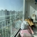 금촌재활용가구