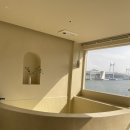 알리스테이 이미지