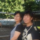 진남농장3 이미지