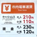 대구시청별관앞 교통섬 | [일본/마쓰야마] 마쓰야마 트램 타는법·요금·환승방법·노선도 총정리