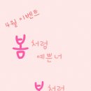 살롱널봄