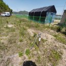 금강2농장 이미지